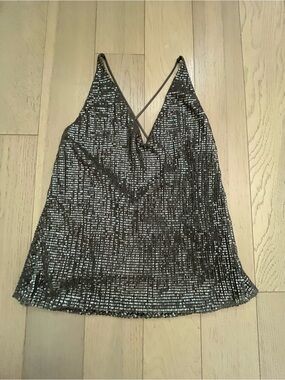 Express Silver Sequin V-Neck Cami
